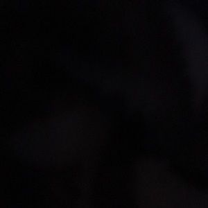 Meet your Posher, Bill